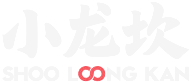 小龙坎控股集团